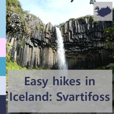 Easy hikes in Iceland: Svartifoss | iamapolarbear.com