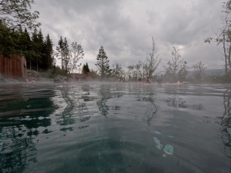 A pool surrounded by birch and pine trees. The water is translucent, as usual, but it's a darker green than usual and has a haze floating just above it.