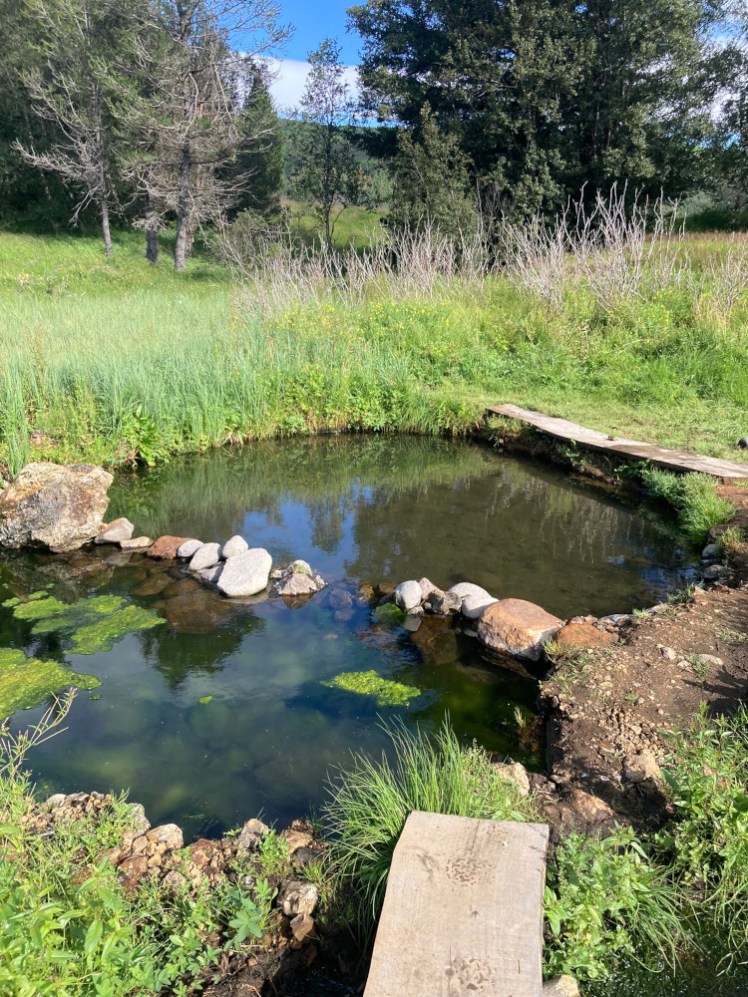Kualaug, a natural pool in a field. A line of rocks separates the weedy bit from the clean bit and a plank serves as both changing room and steps down.