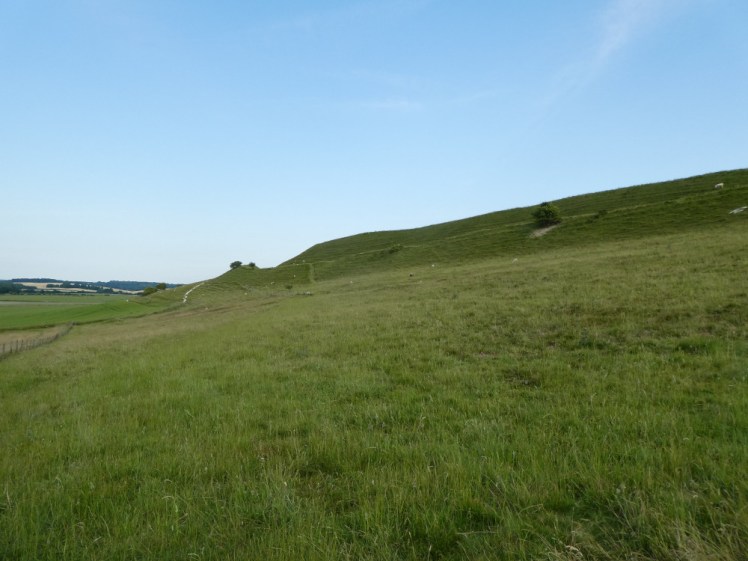 Maiden Castle, a huge hillfort with ramparts, ditches and its steep slopes terraced, rising up above the fields around Dorchester.
