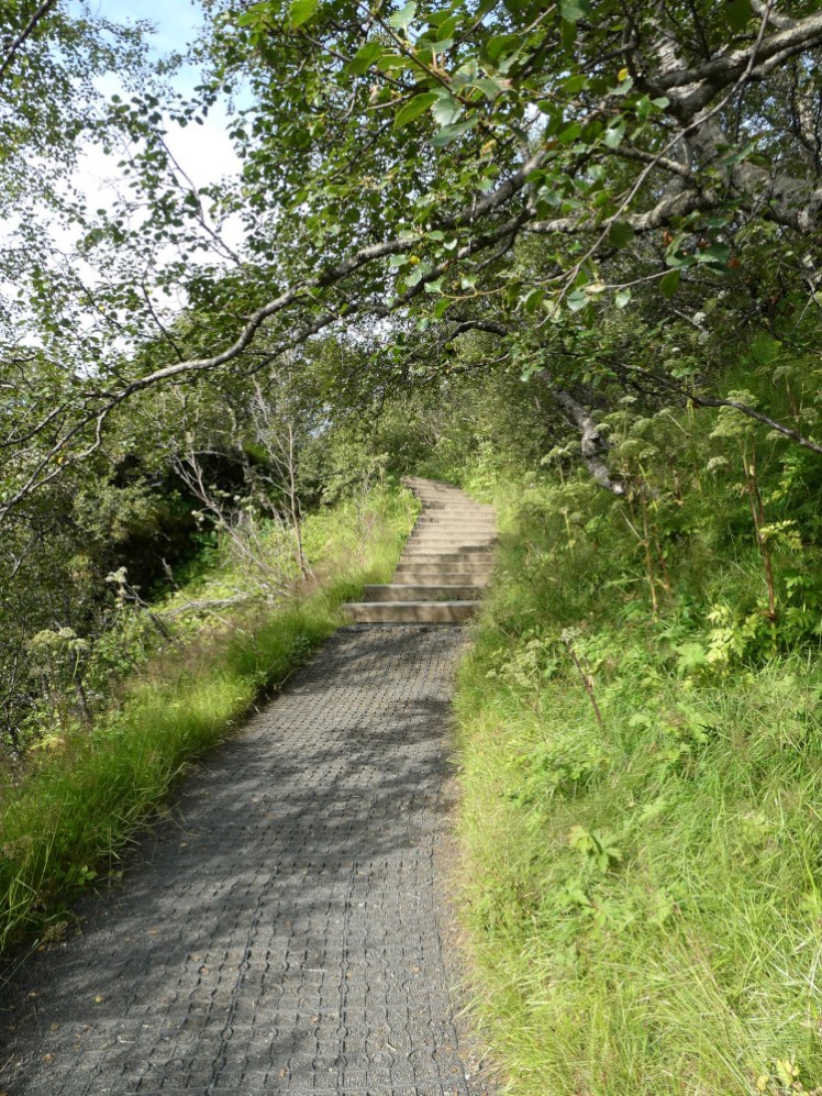 The path, plastic matting protecting the gravel, leading up to some wooden steps.
