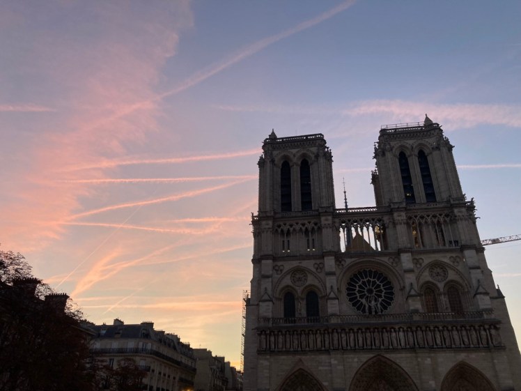 Notre-Dame in the morning, almost silhouetted against a pale blue and pink sky.