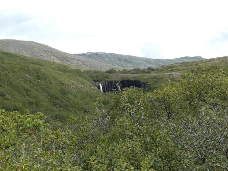 One of the film photos I tried to take - Svartifoss lurking among the lush forest of the heath above Skaftafell.