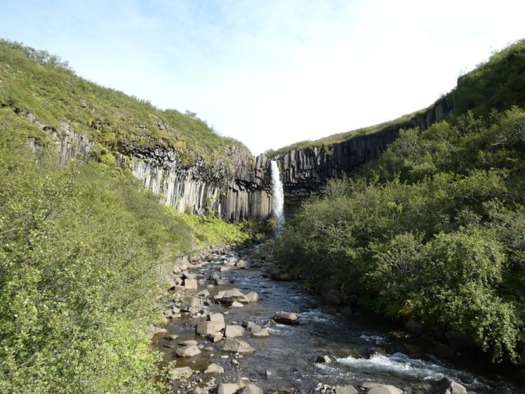A view of Svartifoss, a thin waterfall falling from a basalt cliff sunken into the woods.
