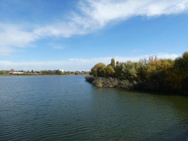A blue-green lake with a wooded island on the right. In the distance are more trees surrounding the lake.