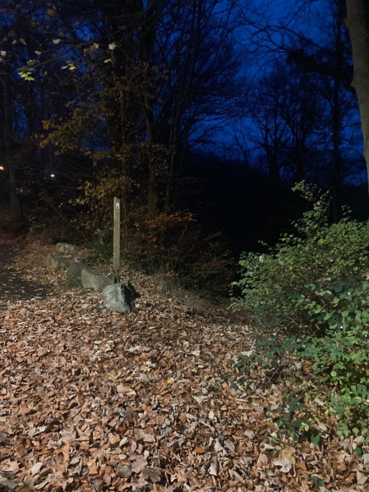 The path down. It's lit right at the top but gets dark very quickly and is so covered in orange autumn leaves that you can't actually see the path.