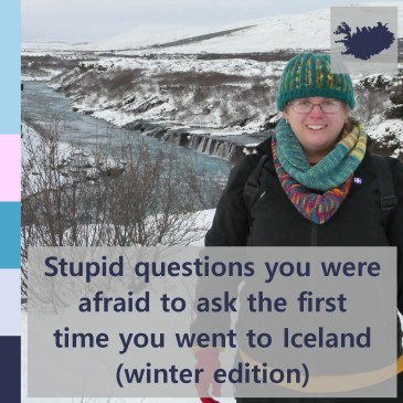 Stupid questions you were afraid to ask the first time you went to Iceland (winter edition) | iamapolarbear.com