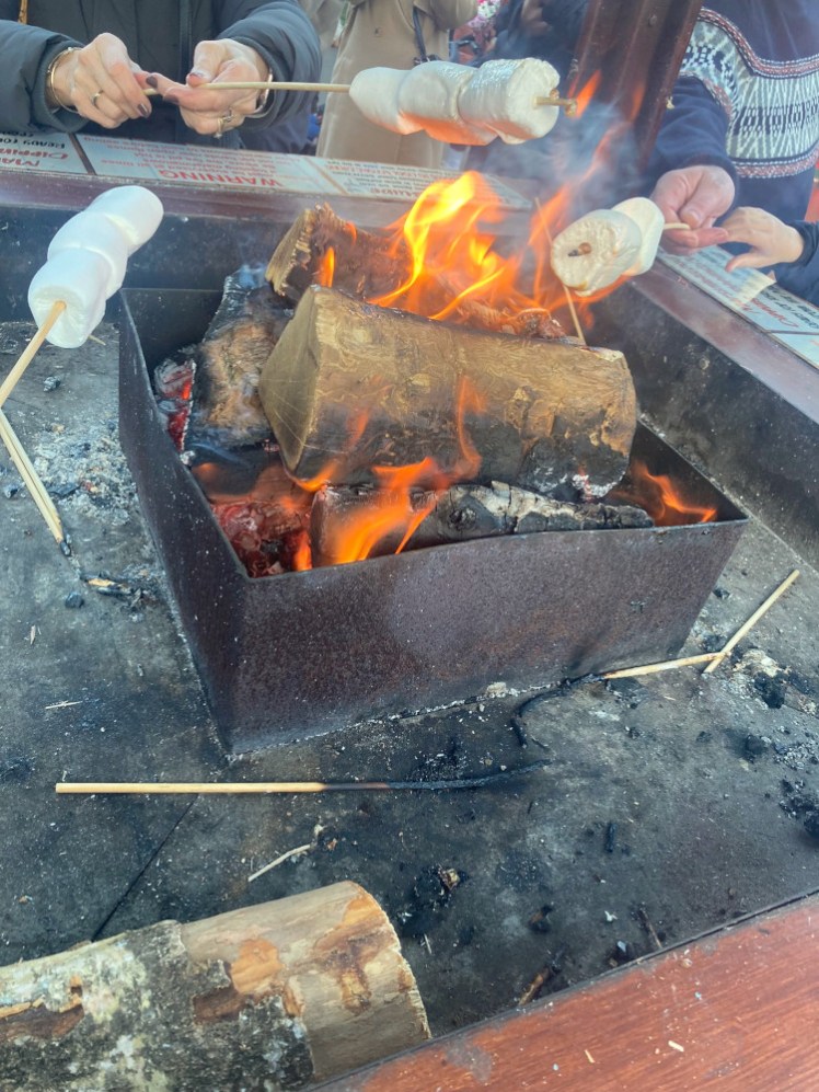 A firepit with a fair-sized log in the centre of it. People are toasting marshmallows on skewers over it, only because there are flames coming up around the log, they're mostly just burning the marshmallows (as a Guide leader, I have strong opinions on the correct toasting of marshmallows).