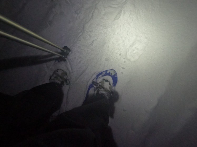 My feet in snowshoes. No longer basket-like or tennis raquet-like, these are massive blue plastic things with ratchet straps holding them to my feet and serrated teeth underneath. It's so snowy that my left shoe is almost invisible under the snow but you can see my right one.