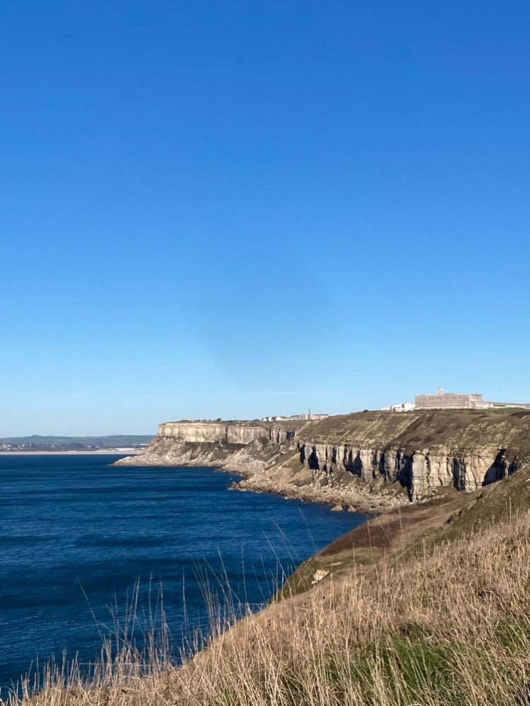 The view along the west coast of Portland, sheet limestone cliffs tumbling down into a mess of scree before disappearing into a navy blue sea.