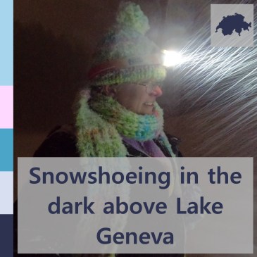 Snowshoeing in the dark above Lake Geneva | iamapolarbear.com