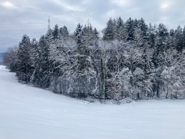 A snowy forest set in a little dip in a snowy field, as seen from a moving train. The picture is so snowy you'd almost think it's in black and white.