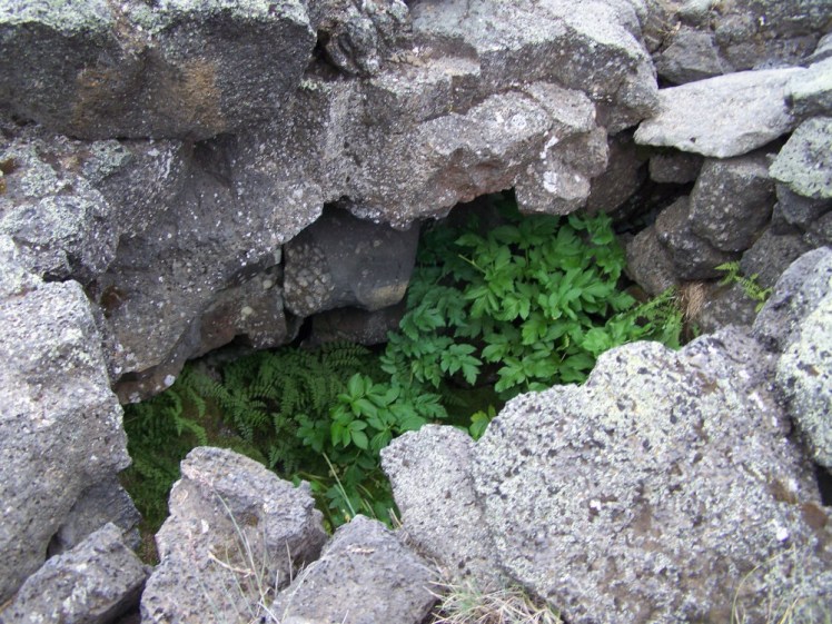 A hole in the lava stone pavement, filled with leaves. Underneath, hidden, is a stream. It barely looks bit enough to stand in, let alone sit in, let alone for two people.