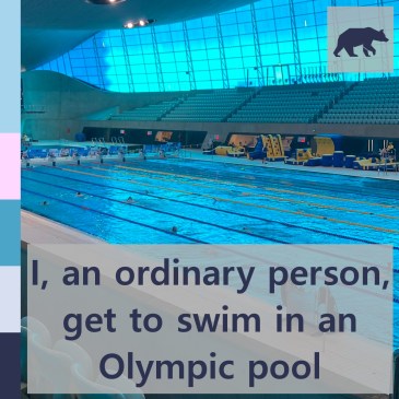I, an ordinary person, get to swim in an Olympic pool | iamapolarbear.com