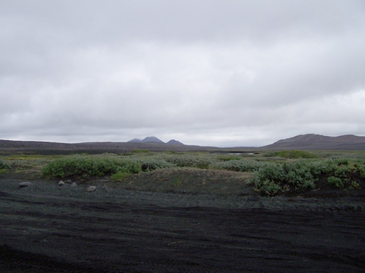 The lava field from the little oasis by the waterfall. It's quite green here but in the distance, you can just about see it getting browner and greyer and there are mountains poking up out of it.
