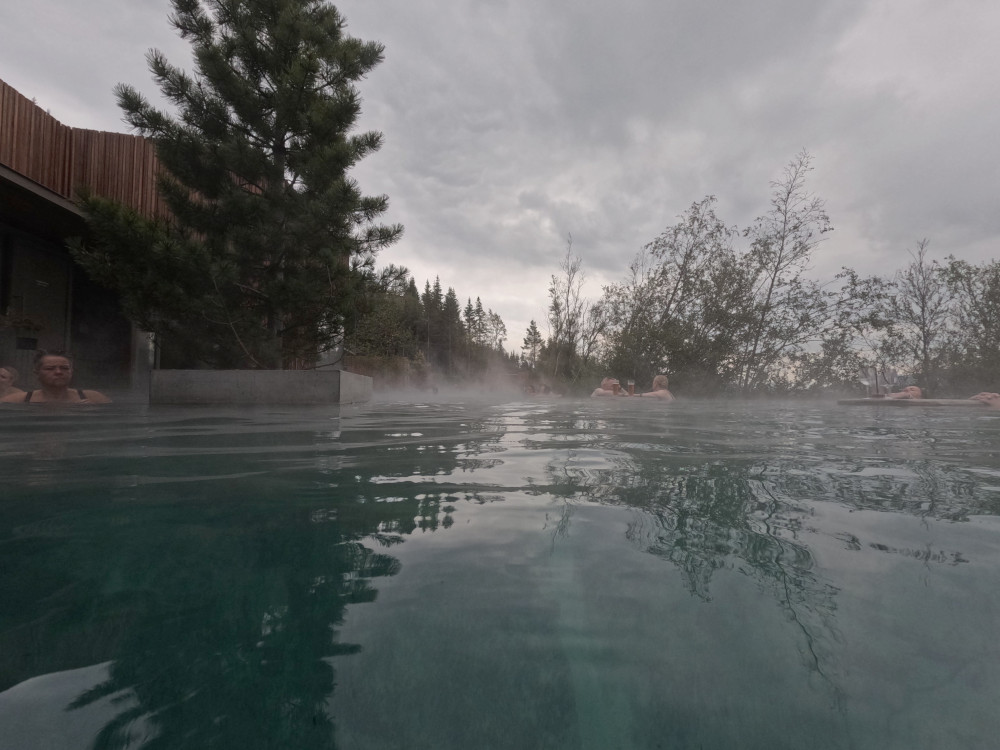 The Forest Lagoon pool with trees in the background.