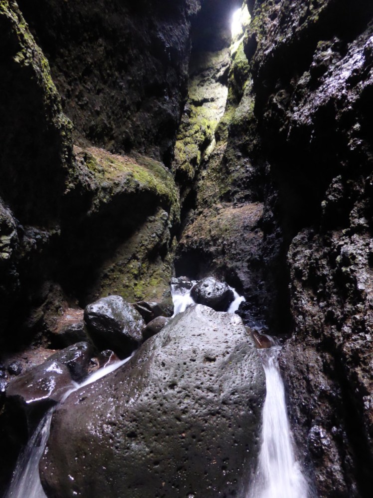 The stream inside Rauðfeldsgjá, which is dark rock covered in light green algae with a certain slant of light landing on it.