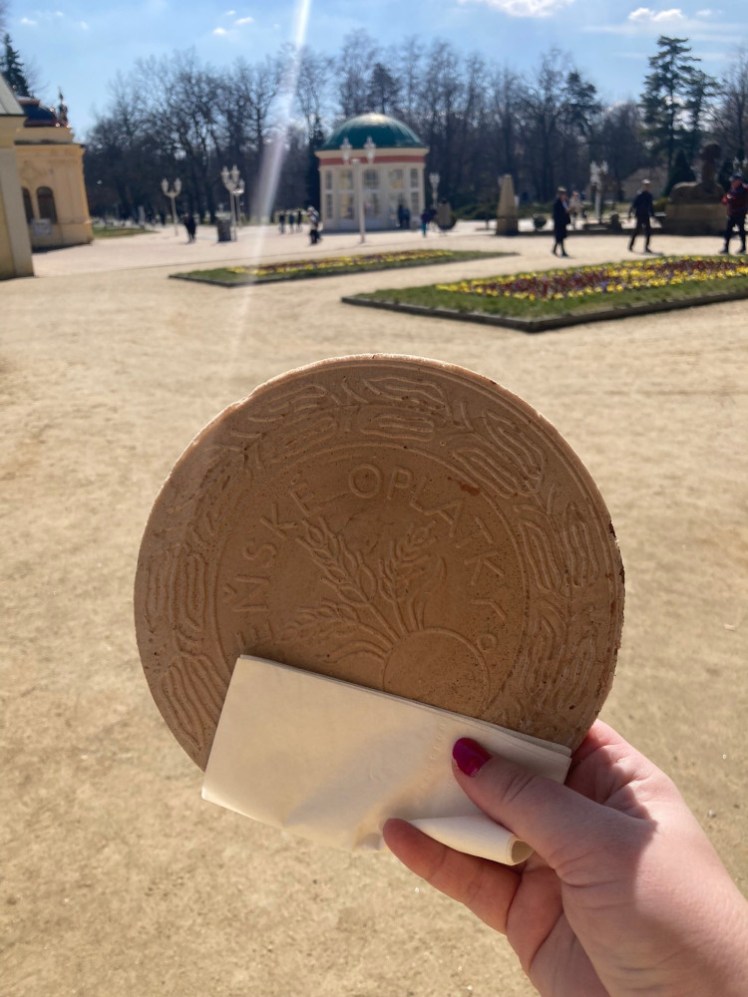 My hand holding up a spa wafer, a large round flat wafer biscuit with the spa square centre laid out behind it in the sunshine.