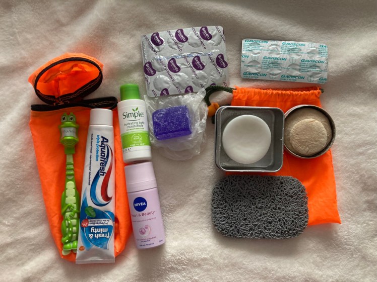 My washing stuff - one bag containing general wash stuff and another with my hairwashing stuff.