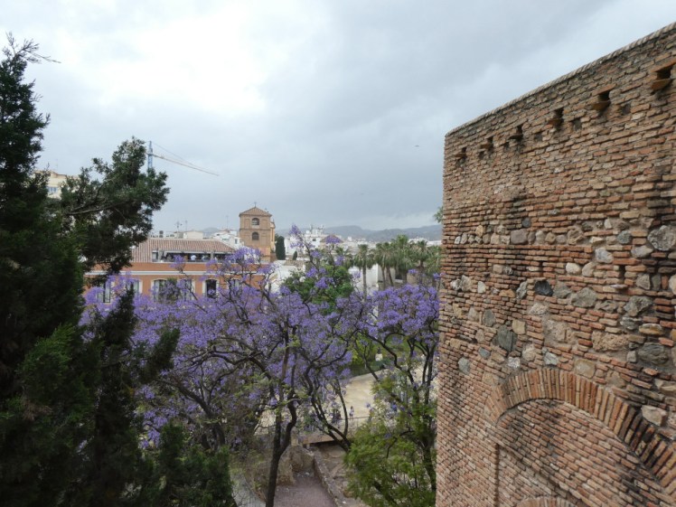 A view from one of the outer citadel walls over the rooftops and purple trees of Malaga.