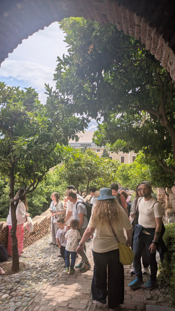 Me, seen from behind, with my hair down for once, walking down through the outer citadel, among crowds of people going in both directions.