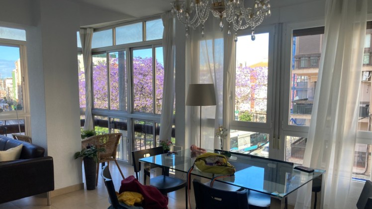 The living room in our apartment, which has floor-to-ceiling windows in the corner, overlooking a busy road and a small park with a massive purple jacaranda tree. The windows have white filmy curtains pulled back to see out and a glass table with the last of our packing on it.