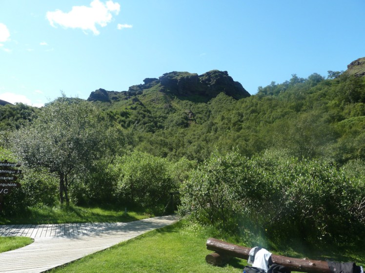 The lush green grass at the Basar Hut, backed by thick bushes and a mountain sticking out of the top.