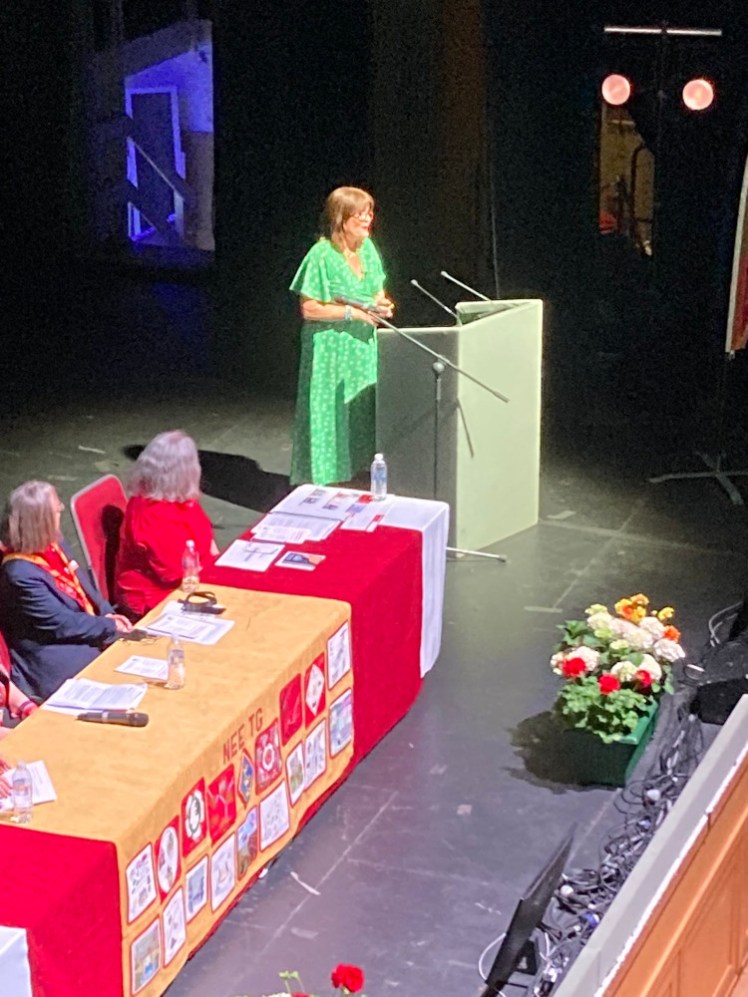 Siobhan on stage during her talk, standing out hugely from the Trefoil crowds in a green dress.