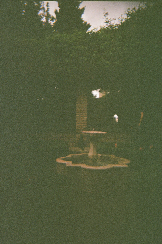 A rose garden with a fountain in it, very dark. I knew it was a bit shady but I hadn't realised it was going to turn out so badly.