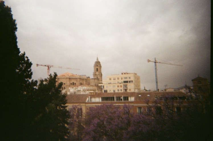 A view from partway up the Alcazaba, over purple trees and across to the cathedral.