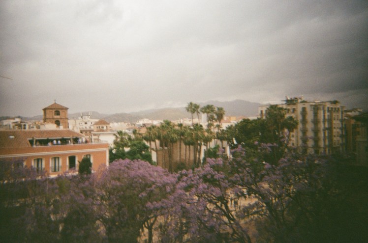 Another view from higher up, this time above the purple trees and getting a hint of mountain in the distance.