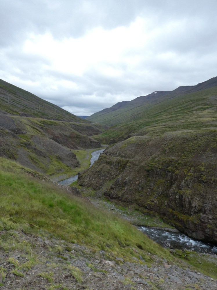 A green canyon on the side of the road. You can't see behind the rise of the hill that a third branch joins the river just here.