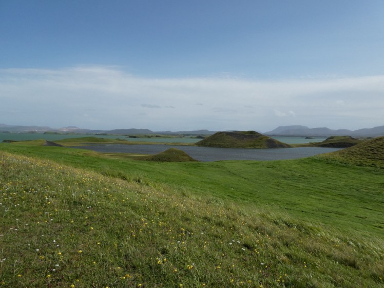 The grassy rounded pseudocraters of Skutustadir, popping out of the lake that helped blow them up in the first place.