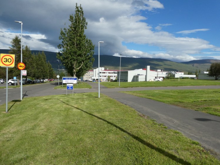 Walking through Akureyri. The grass verges are green and trimmed, all the buildings are white and there's a low mountain ridge behind it all, on the other side of the fjord.