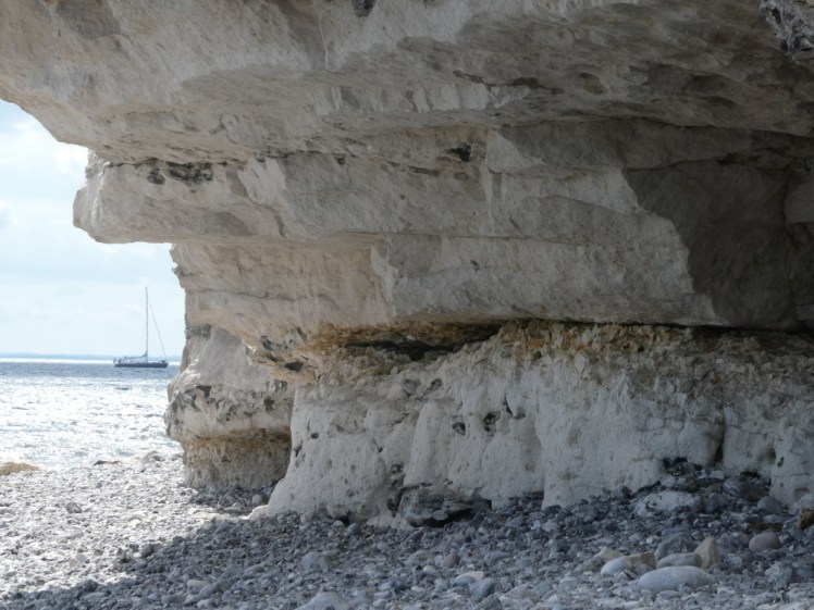 A layer of dirty-looking brown stuff between two layers of white cliff low down under an overhang of white chalk and limestone.