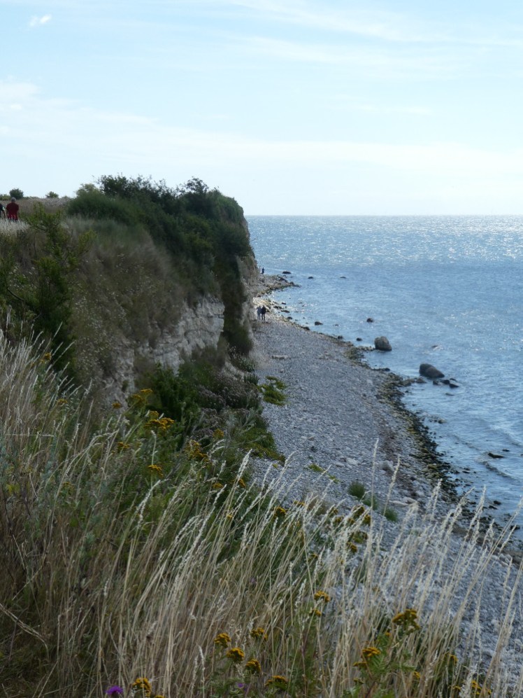 The cliff near Rødvig as seen from the footpath along the top. The cliff is quite overgrown and the sky is overexposed but should be bright blue.