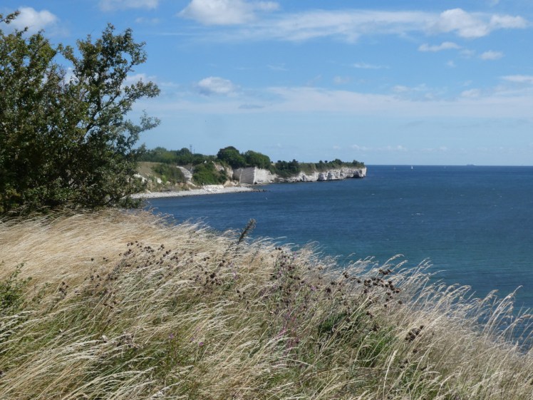 The cliffs as seen from the footpath as you approach the Experience Centre. The cliff bends round to enclose a wide bay of sparkling blue water, backed by white cliffs and scrubby grass and trees.